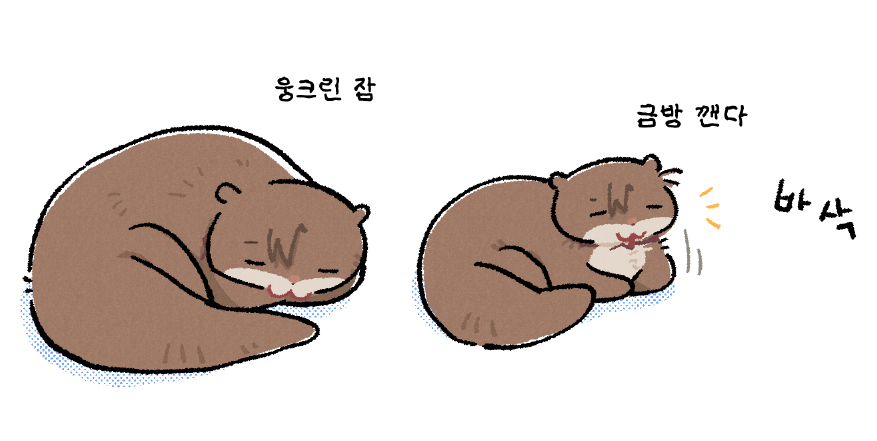 on_yourhom3's tweet image. 요원님 자요?