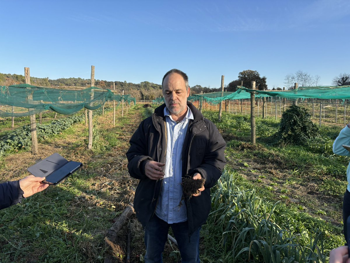 Catalonia International tweet media