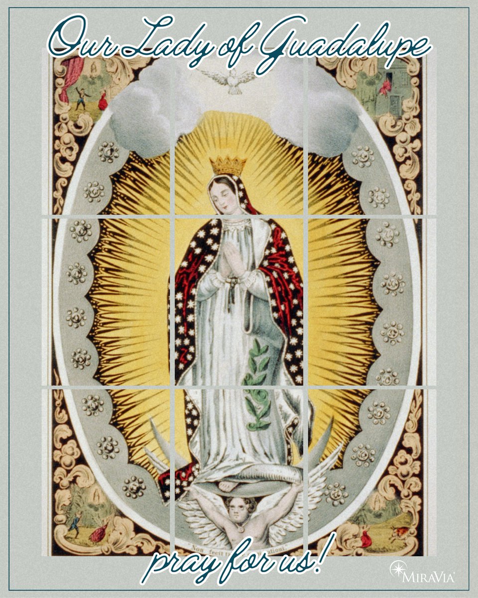 Happy Feast Day of Our Lady of Guadalupe! 
We honor the Mother who comforts us with her words: "Am I not here, who are your Mother? Are you not under my shadow &amp; protection?"
MiraVia is consecrated to Our Lady under this title. May she intercede for all moms &amp; babies we serve!