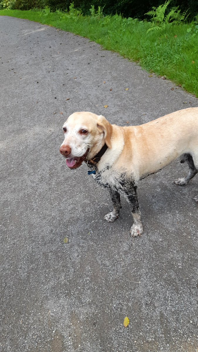 Und ich sag noch,...geh da nicht rein. Zu spät