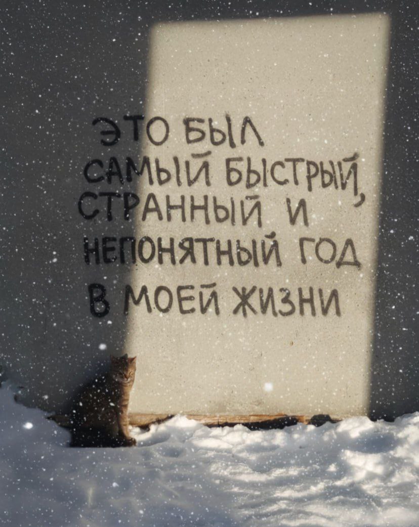 catsilcats's tweet photo. https://t.co/hMFIMkjDCP