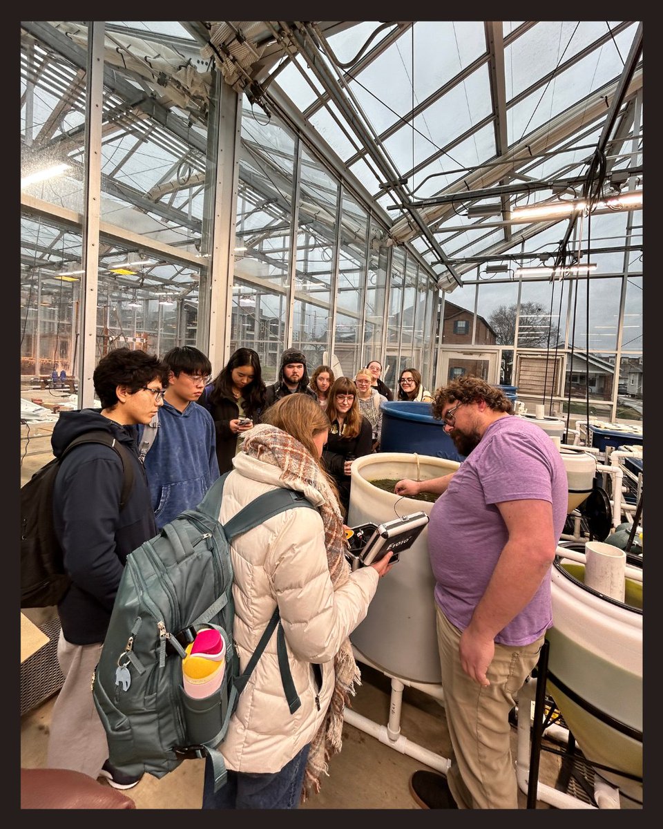 When Blue is Green Project tweet media