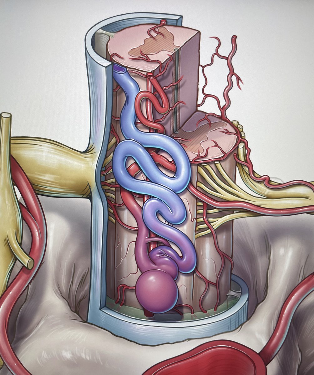 Peter M. Lawrence tweet media