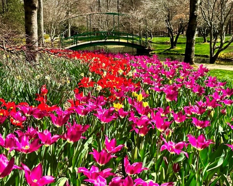 Gibbs Landscape Co. tweet media