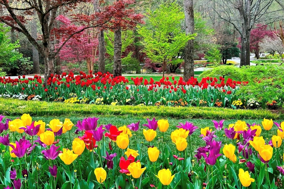 Gibbs Landscape Co. tweet media
