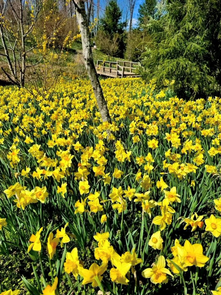 Gibbs Landscape Co. tweet media