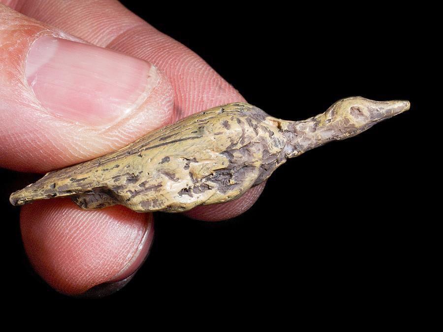 This small carving of a water bird was created 33,000 years ago and was found in the Hohle Fels cave in Germany.