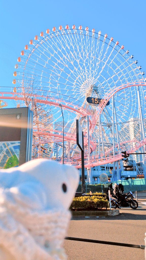 かわいいユキハミ tweet media