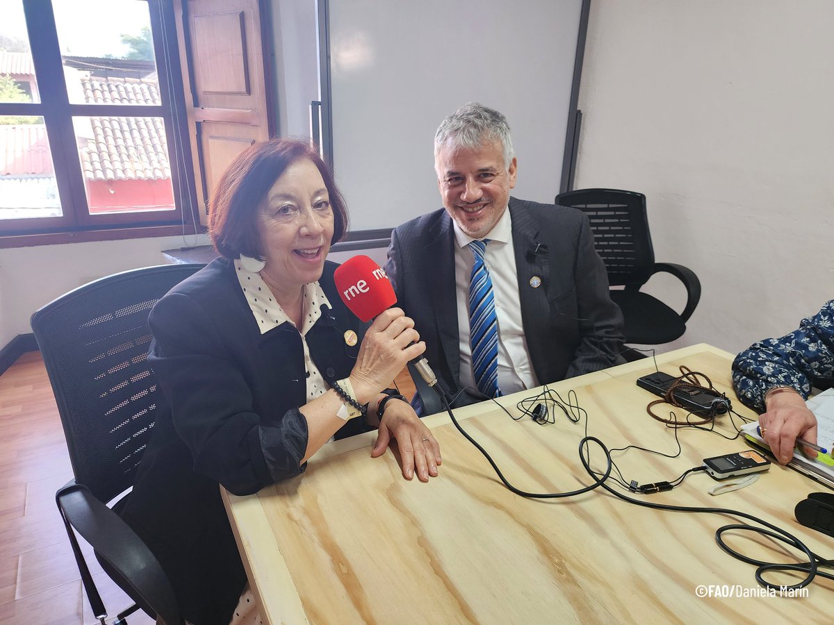 ALCsinhambre tweet media