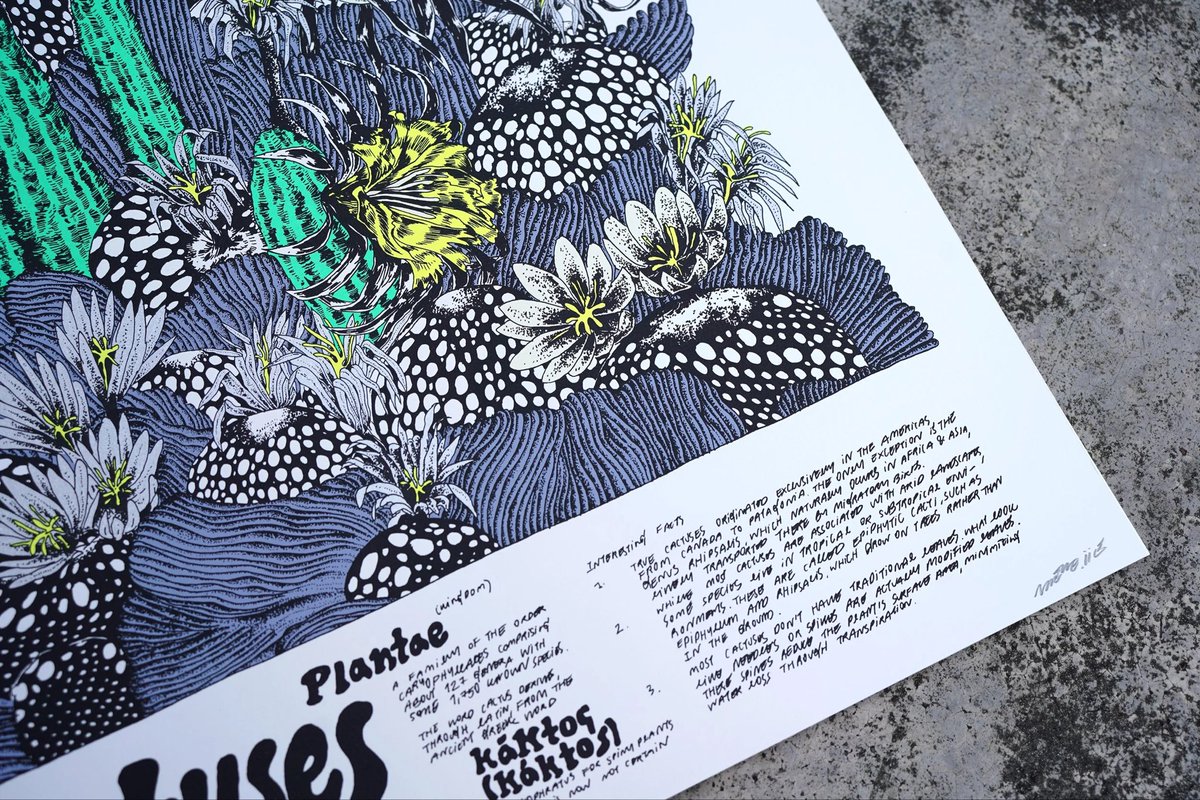 archive.nneneiie tweet media