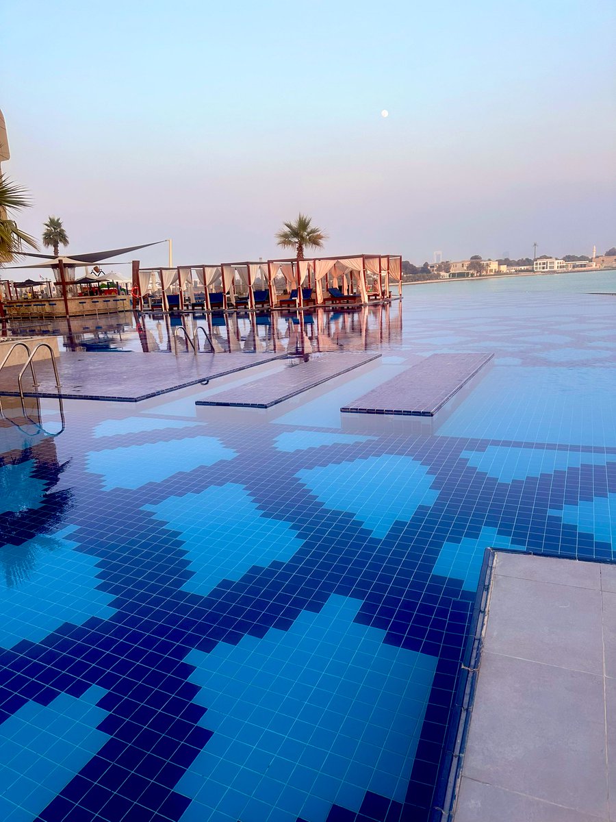 MonkeyDog tweet media