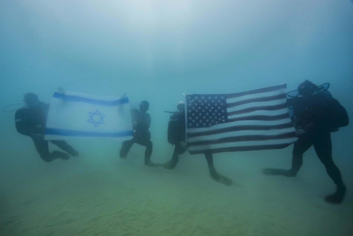 LionsOfZion_ORG's tweet image. Israel and the United States - more than a partnership, a front of truth and justice against terror and tyranny.
What does it mean to you?