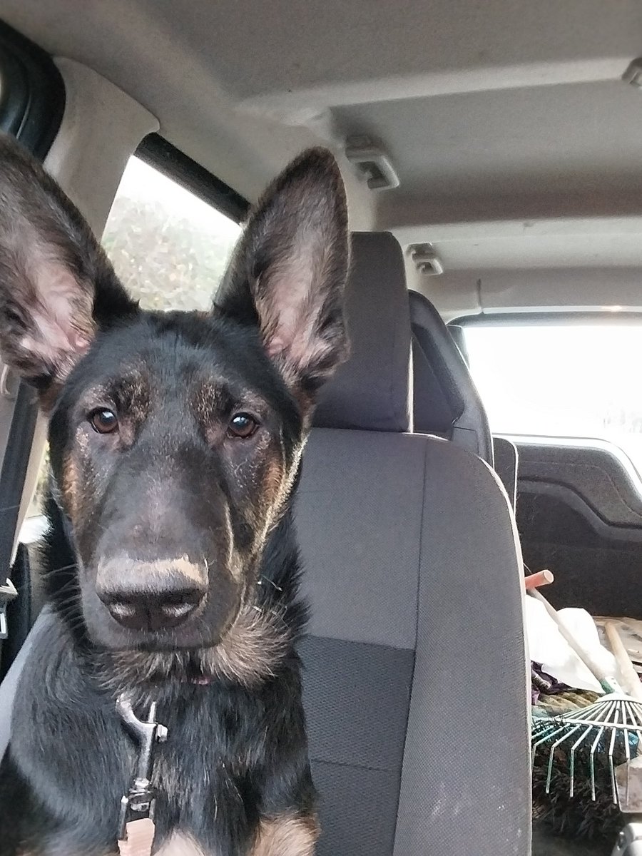 What you looking at! #TeamMali