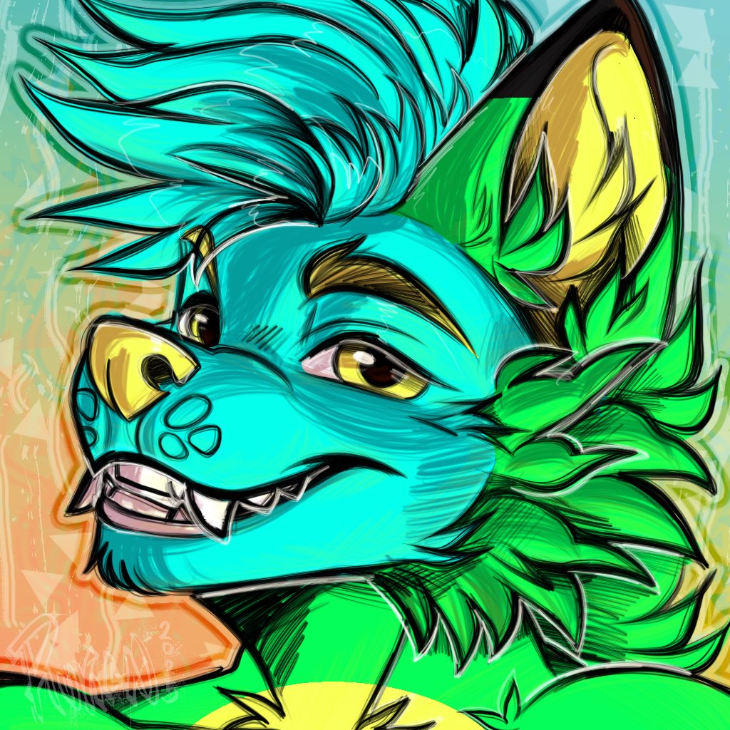 Kayus Vicario🇮🇹🔜? tweet media