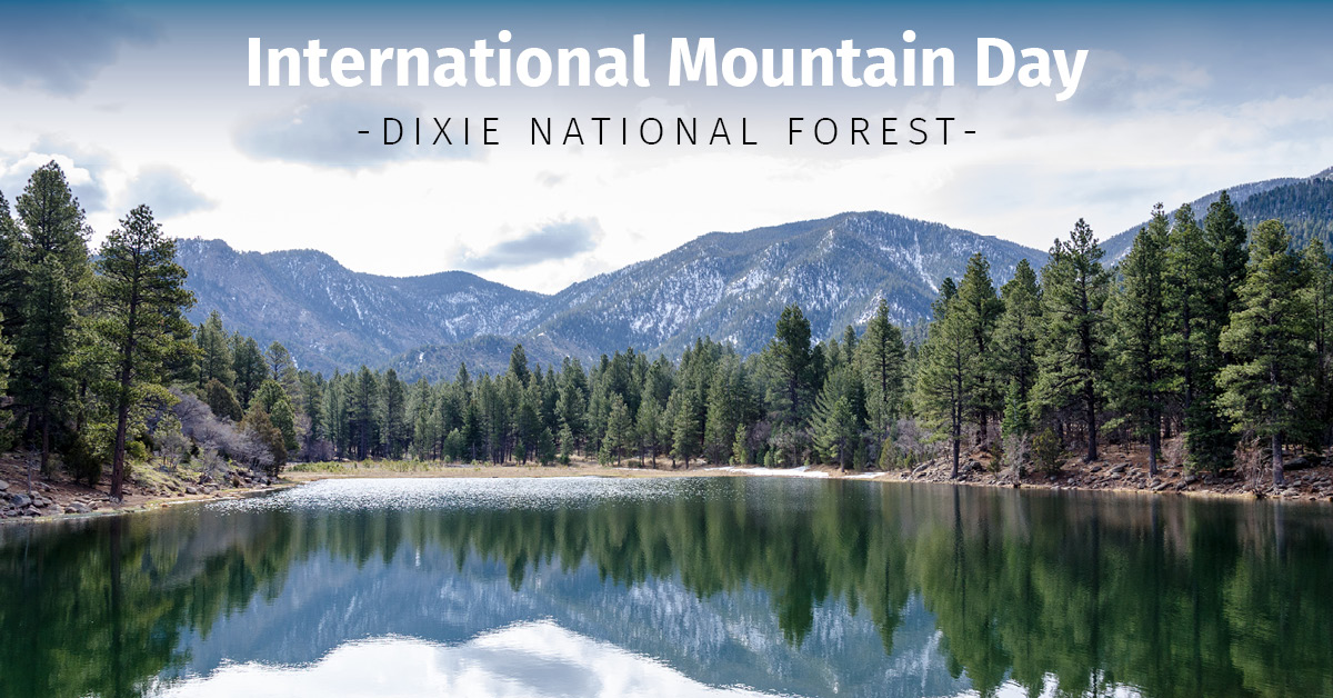 BankofUtah's tweet image. International Mountain Day is the perfect time to appreciate the places that make Utah special — like the peaceful peaks and pines of Dixie National Forest. Where’s your favorite Utah mountain escape?

#BankOfUtah #InternationalMountainDay #Utah #Outdoors