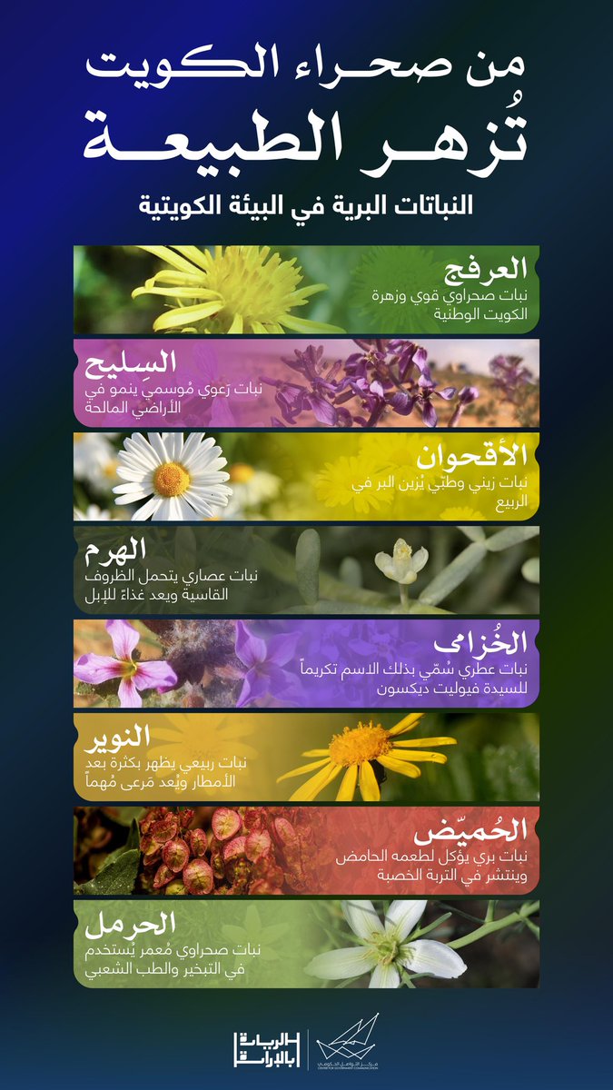 من صحراء الكويت تزهر الطبيعة 

#CGCKuwait