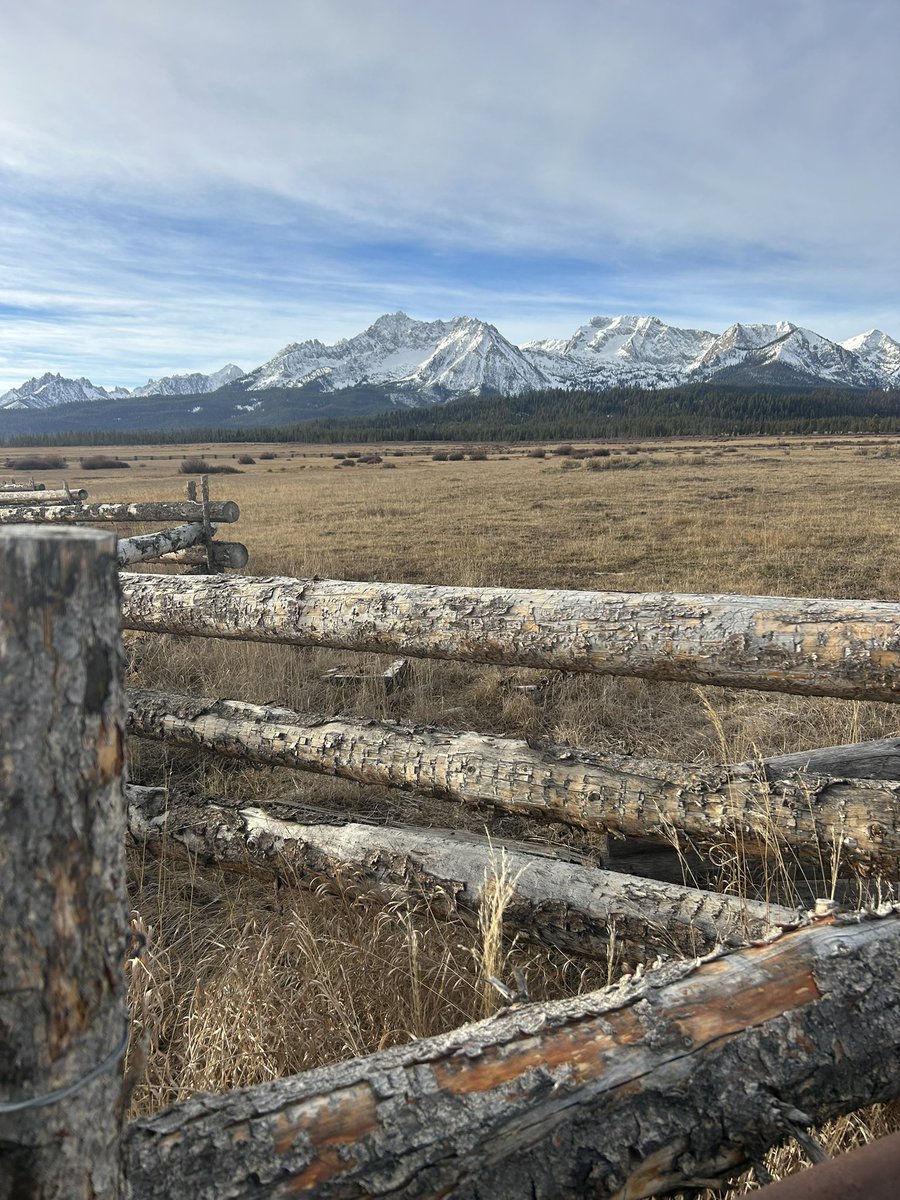 Kiel Samsing tweet media