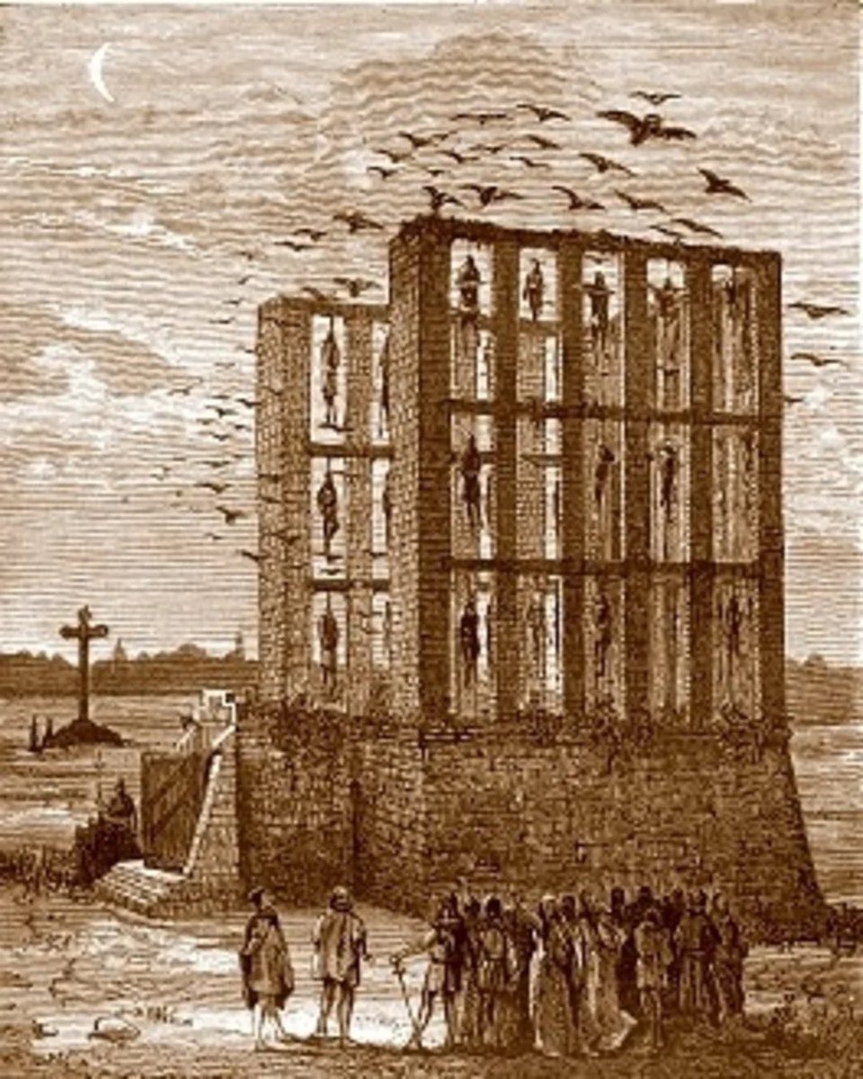 Marine Benoit tweet media