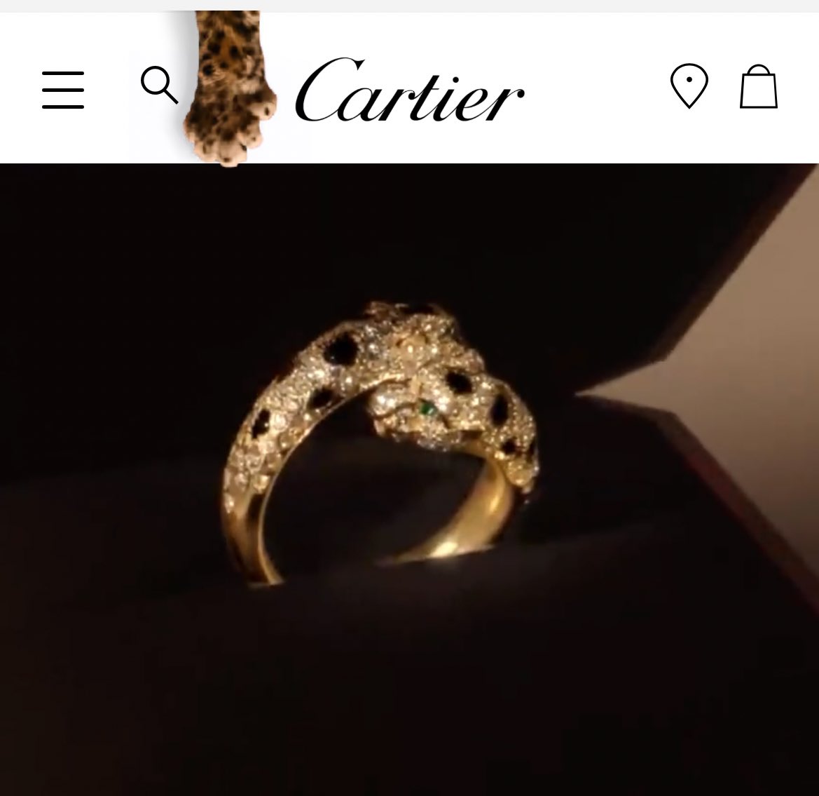 カルティエのサイト、ロゴのとこにベビーパンテールがちょいちょい出