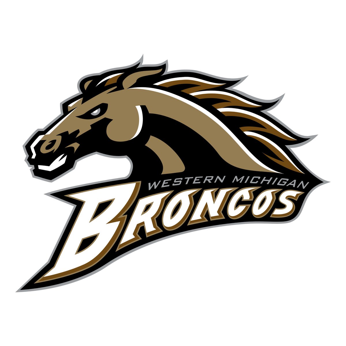 After a great conversation with @CoachPayneWMU I’m extremely blessed to receive my third FBS offer from Western Michigan! Go Broncos!