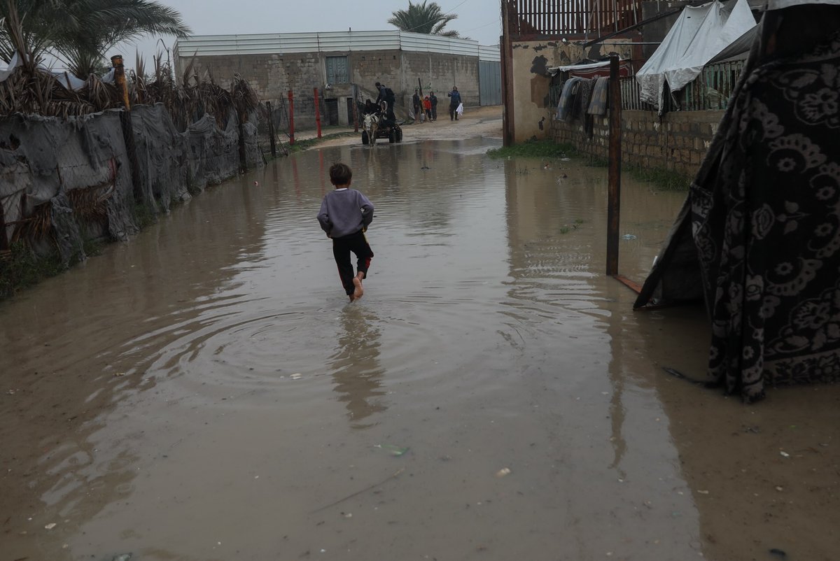 MuhammadSmiry's tweet image. Gaza, Palestine.