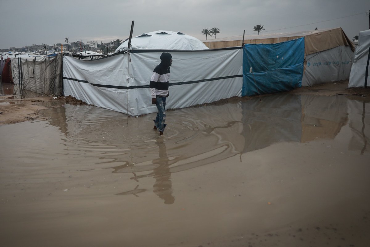 MuhammadSmiry's tweet image. Gaza, Palestine.