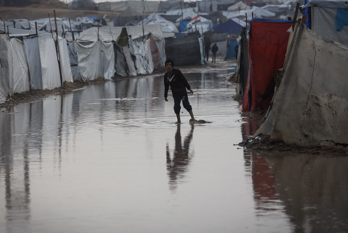 MuhammadSmiry's tweet image. Gaza, Palestine.