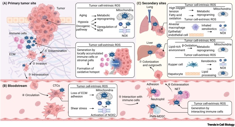 Trends Cell Biology tweet media