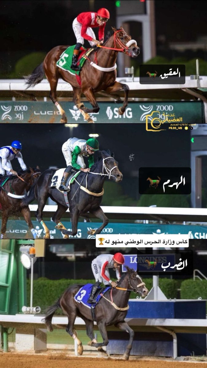 عدسة العضياني📸🐎 tweet media