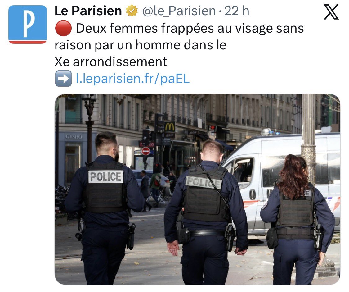 À AUCUN moment, cet article ne précise que l’agresseur est un migrant afghan ne parlant pas un mot de français. Ça pose pourtant question : pourquoi accueillons-nous les dangers publics d’autres pays ?