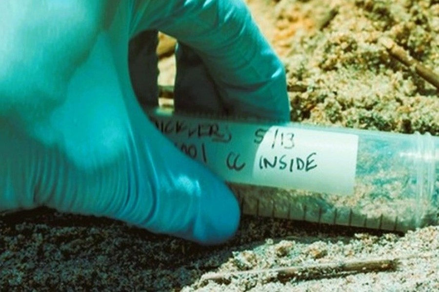 Seawater quality testing is critical for tracking contaminant pollution (nutrients, chemicals, and microplastics) in coastal ecosystems; it helps detect harmful algal blooms (HABs) and assess climate change impacts, affecting marine life and coral reefs. #WetTribe #TidetotheOcean