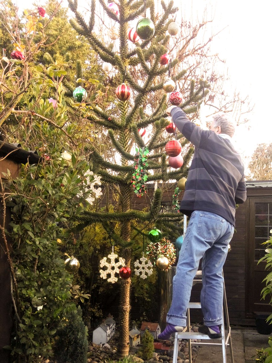 Aerobility tweet media