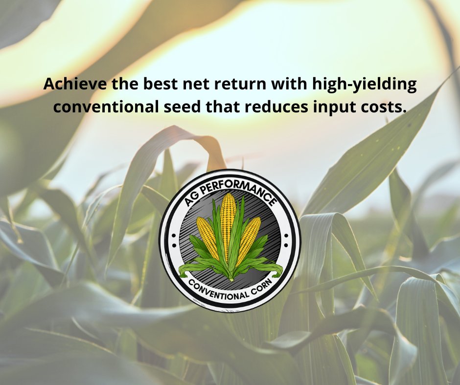 AgPerformanceBC's tweet image. Kicking off December strong 🌽 — our conventional corn lineup is built for performance and consistency. Ask us about our hybrids for your 2026 season! 

📞 Call 641-562-2370 | 🔗 agperformance.com/conventional-c… 

#AgPerformance #YieldProtection #ConventionalCorn
#FarmStrong