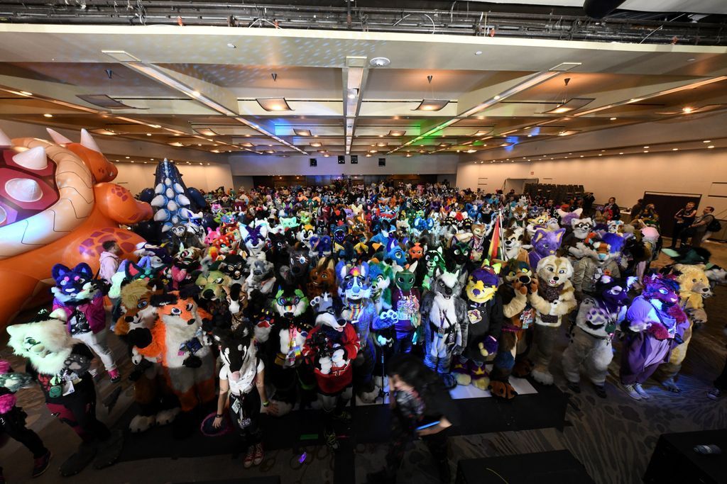 If you needed a sign from the stars, this is it!

We only have 500 more online preregistrations for #Furnal2026 available! 

→ furnalequinox.com/register/ 

📷 : <a href="/catameep/">Catameep Snow Panther</a>