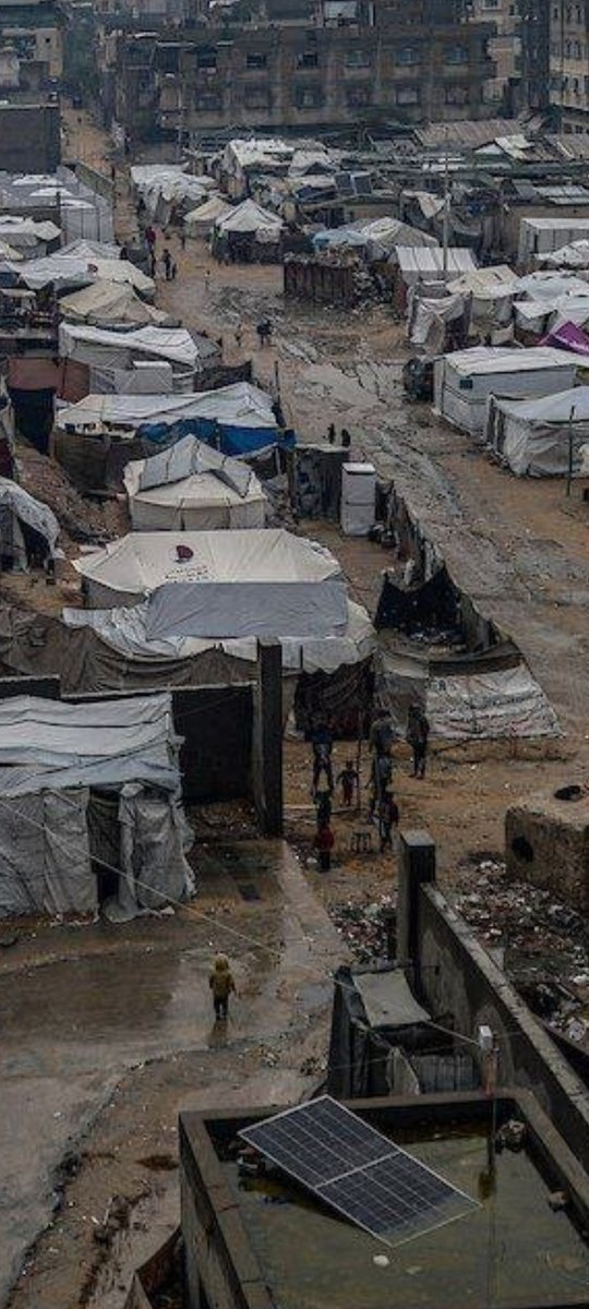 معقول احنا بنهاية ال 2025⁉️
 قطعنا آلاف السنين من التطوّر بس وقفنا عاجزين قدّام مترين قماش ومليون روح موجوعة❗️
خيام غزة مش مأوى
هي فضيحة عالم كامل يدّعي التطوّر وهو مش قادر يطوّر إنسانيته👌
حزن كبير يطغى على كل   شيء 
حزنٌ واسعٌ يملأ الأفق
             عالم منافق 😡