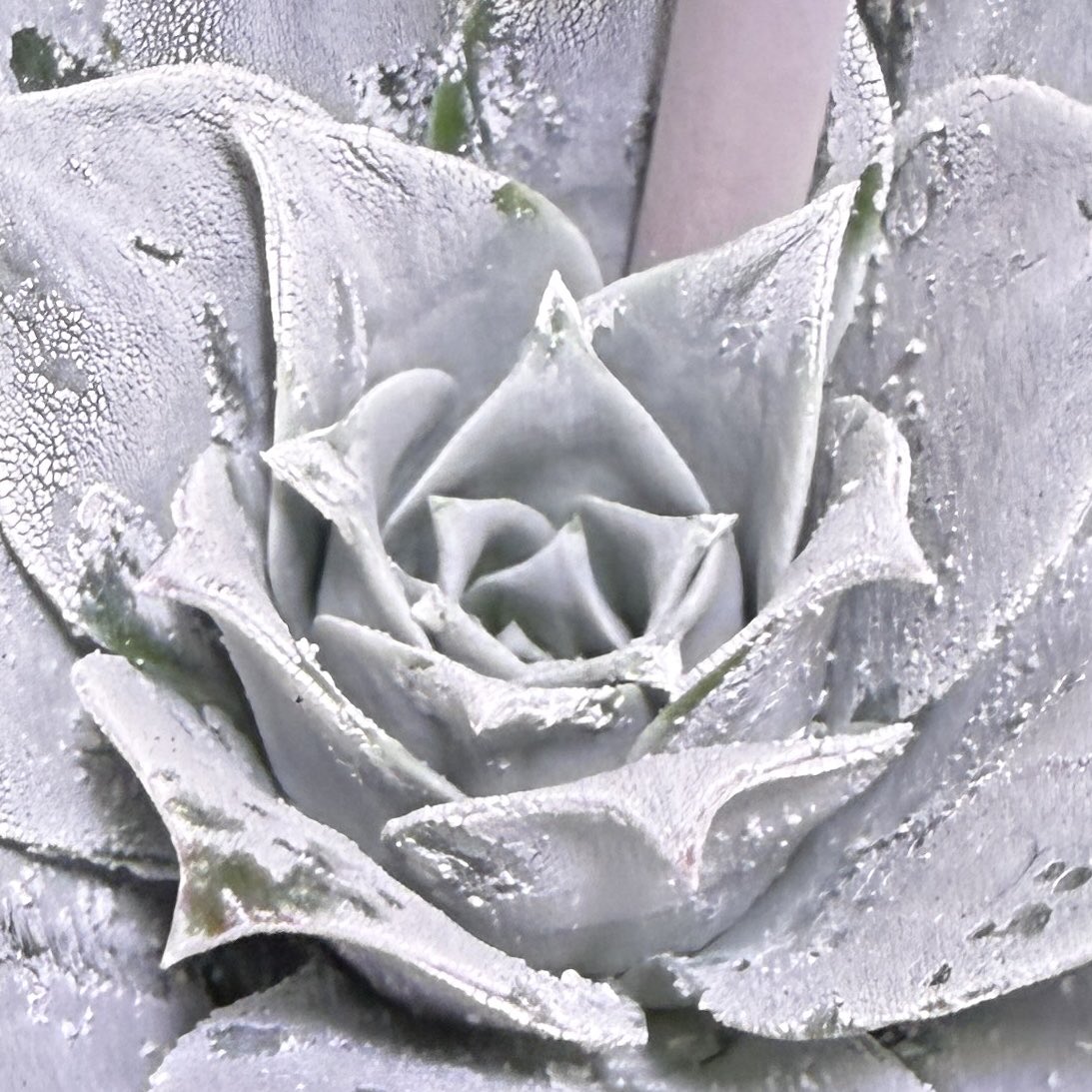 TOMOZOO (@TOMOZOO56496590) / Posts / X