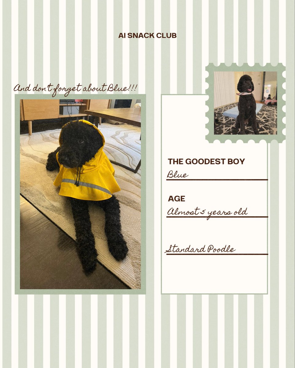 Monica Abrams tweet media