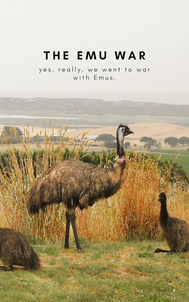 Gaurav Sabnis tweet media