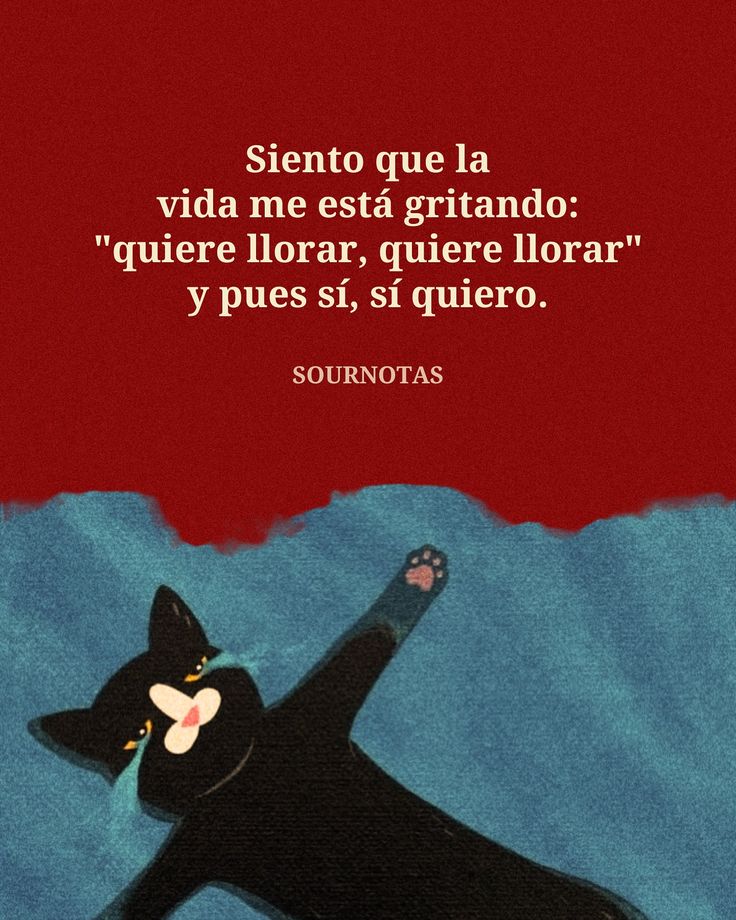 Escrito Ideal (@escrito_ideal) on Twitter photo 