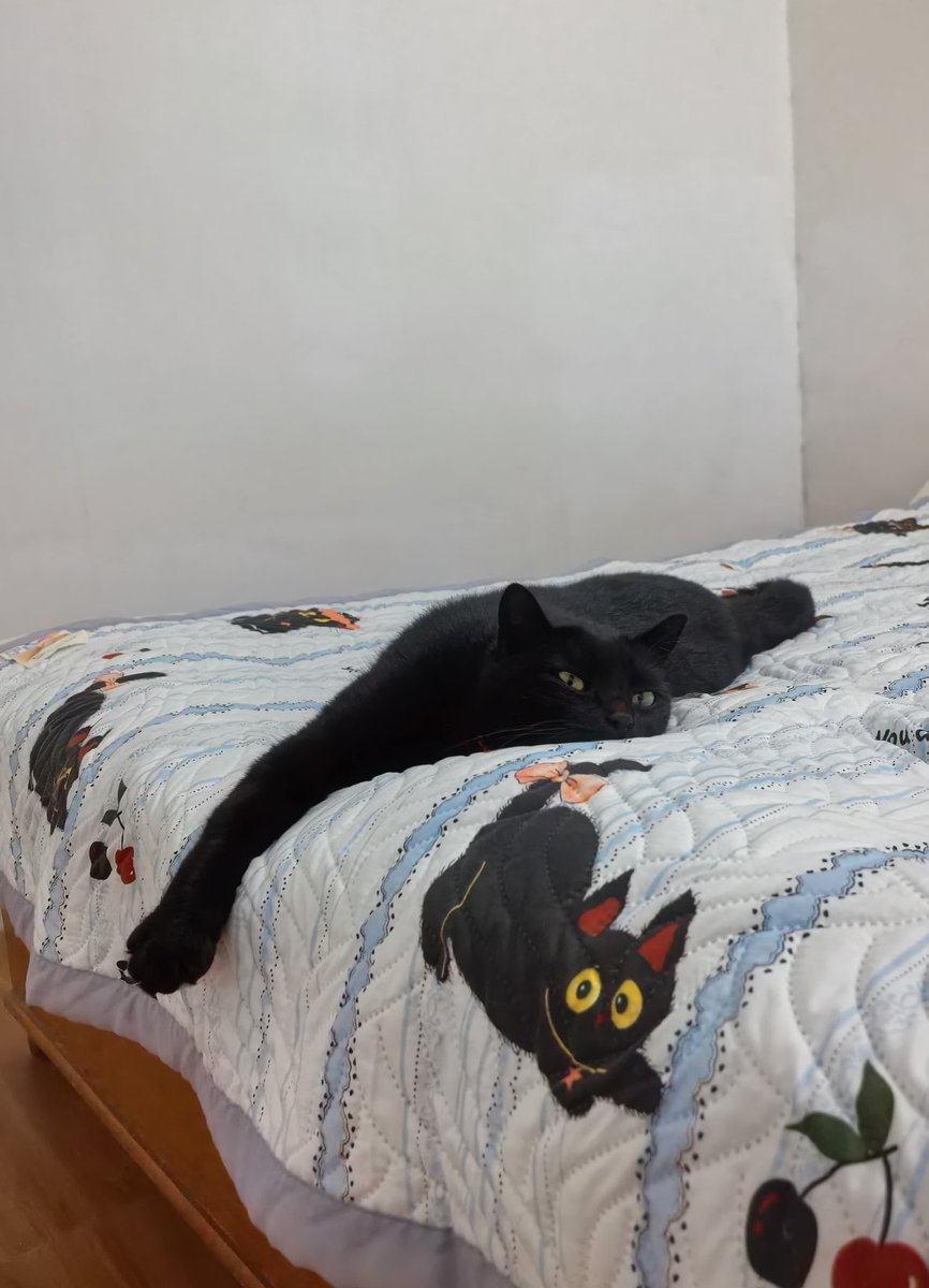 tmszhjh88's tweet image. 