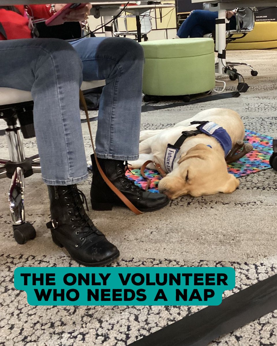 SAY Detroit tweet media