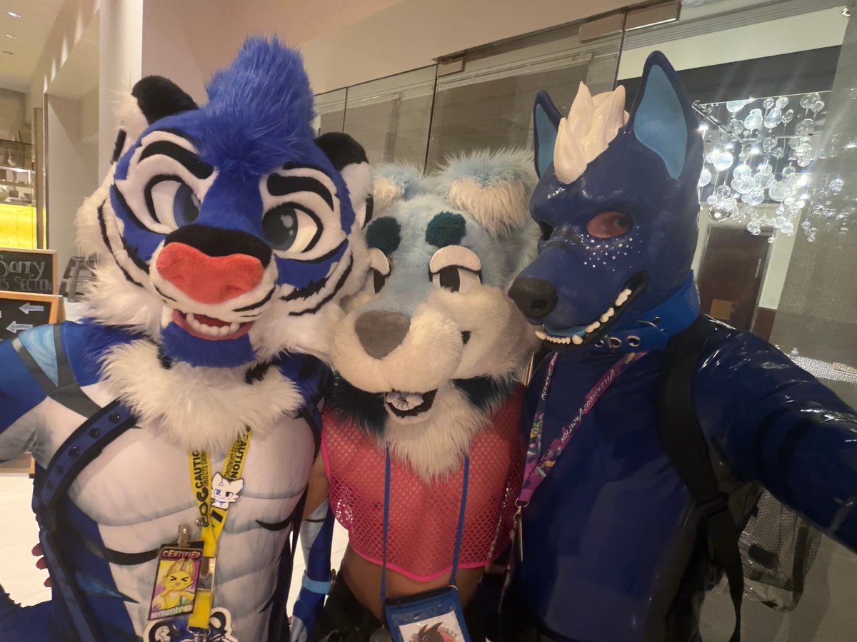 Puppy-Derg (ON 🟦☁️) tweet media