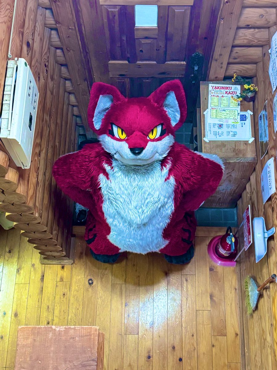 👀🍖
 #FursuitFriday