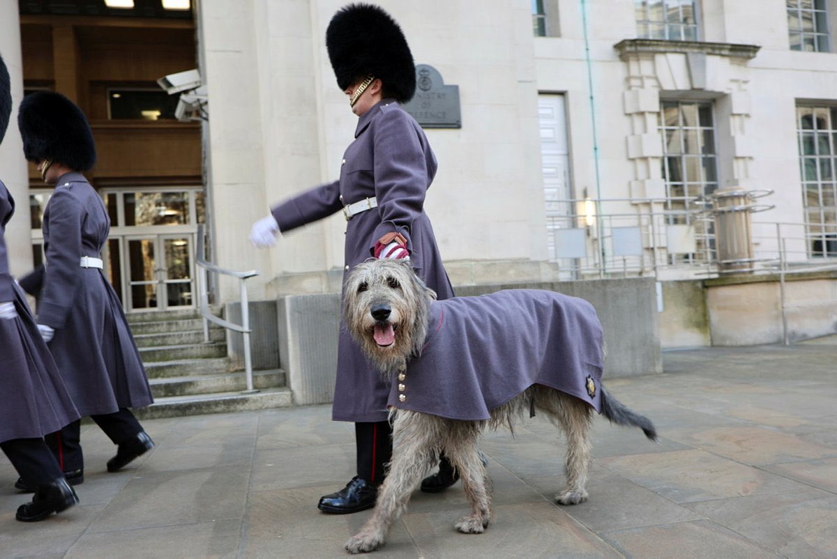 The Army in London tweet media