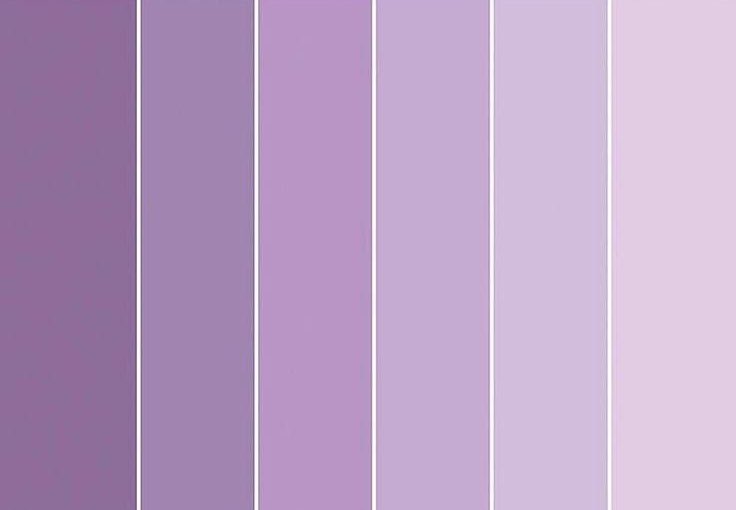 this color palette >>>>>