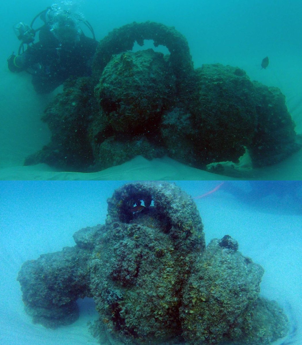 Dexerto's tweet image. Riot Games sank a Nautilus statue 10 years ago into the Curtin Artificial Reef in Australia

A local dive club visited the replica this week, showing that it is thriving as a home for local marine life