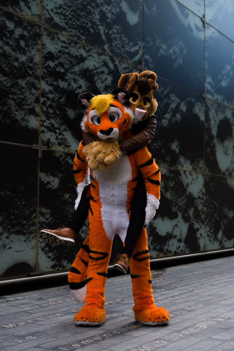 Dashtiger84's tweet photo. Feeling incredibly lucky to have this goober around ❤️

📷 @XiyolFox 
🐰 @FaolanCanidae 
🐯 @Dashtiger84 https://t.co/psq4C0gMoJ