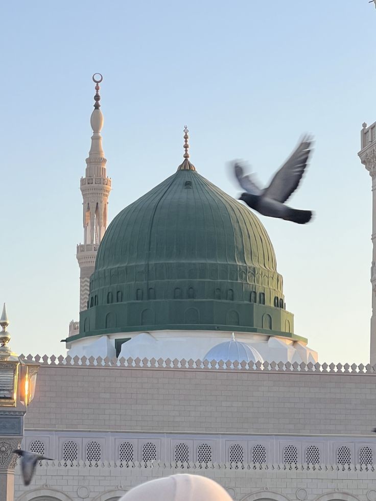 "Akar gözden dinmez yaşım,
Döner durur her an başım.
Şefaattir pür telaşım,
Şefaat ya Resûlullah."