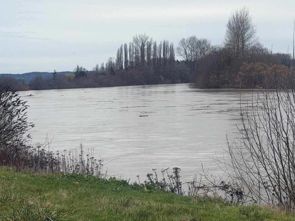 Wheels (Sean) tweet media