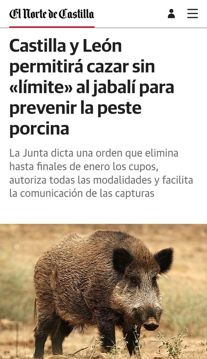 La @JCyL se dispone a legalizar el furtivismo autorizando pasearse con rifles y visores en todos los cotos de CyL los 365 dias para matar jabalíes. Mientras a los lobos, que matan jabalíes, hay que volver a matarlos cuanto antes. Y a esto lo llamáis "gestión" ¿no? <a href="/naturalezacyl/">Naturaleza Castilla y León</a>